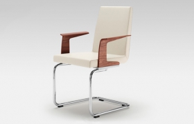 images/fabrics/ROLF BENZ/chair/620/1